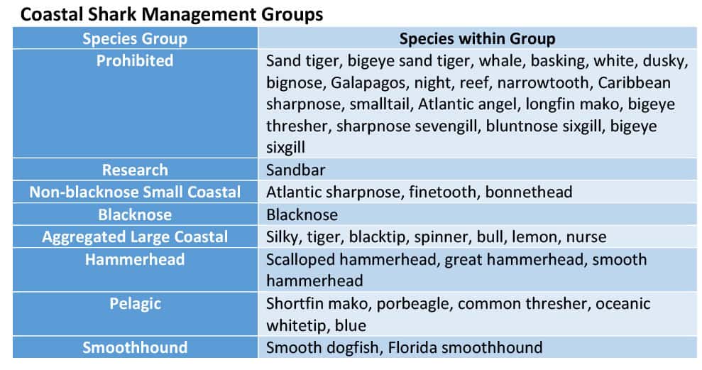 Atlantic shark species table