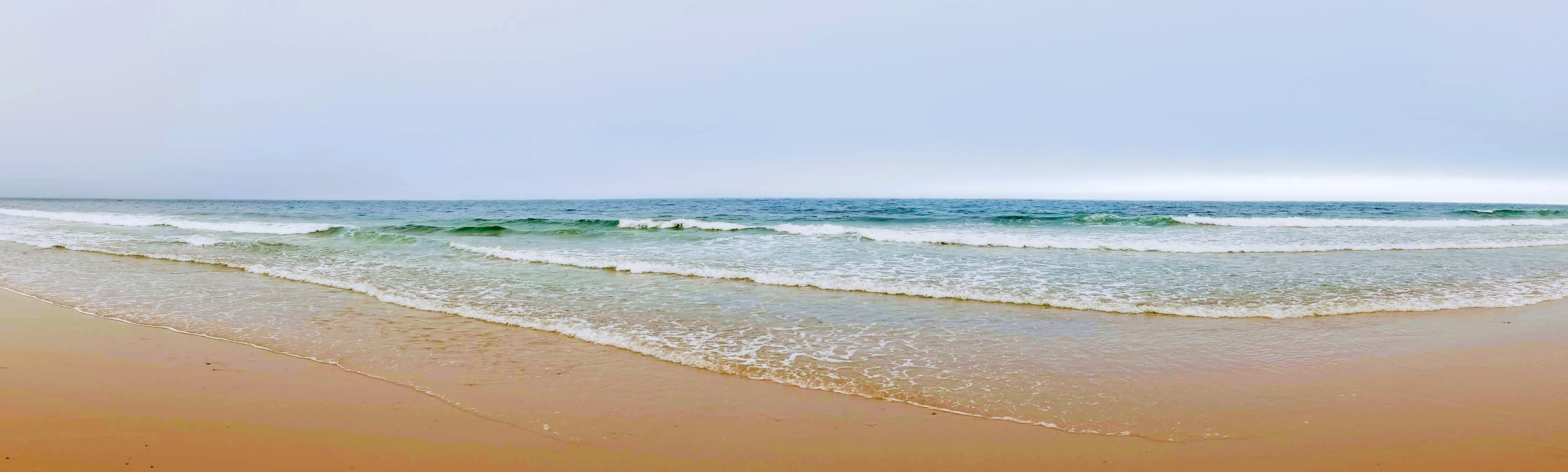 New Science paper in the bag Birkenbach Oremus Lab